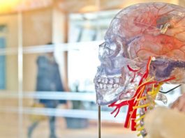 Медицинская марихуана может быть более опасной для молодых потребителей