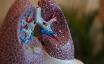 Центр CDC выявил новую потенциальному причину синдрома EVALI