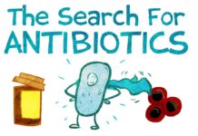 Ученые создают новый формат антибиотиков