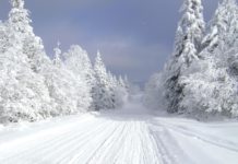 Австралийцы могут в будущем остаться без зимы