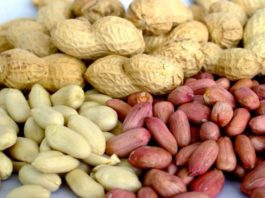 Ученые минимизируют аллергию на арахис при помощи специального лечения