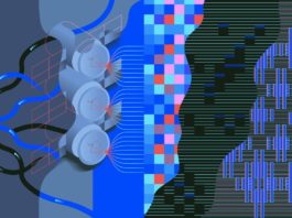 Популярный мессенджер ToTok на самом деле является шпионской программой правительства ОАЭ