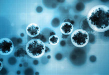 Найдена бактерия для трансформации туберкулеза