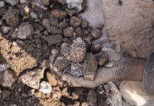 Солнечная энергия на самом деле тоже вредит экологии