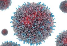 Установлен новый кандидат на роль эффективного нанолекарства