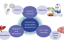 Потребление пробиотиков для здоровья микробиома: реальная польза