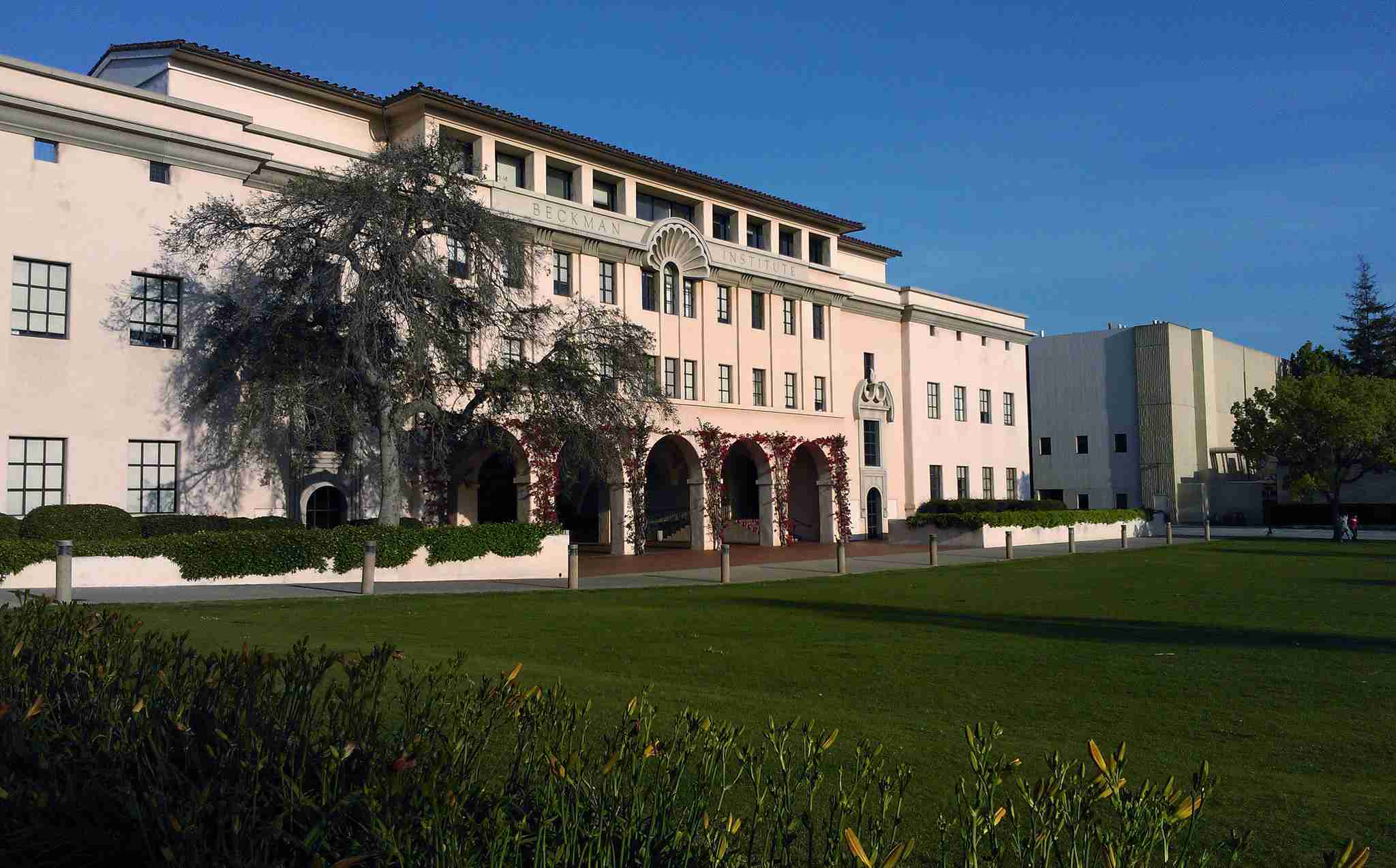 Nix university. Калифорнийский Технологический институт. Пасадена Калифорния университет. Университет Колтех США. Калифорнийский Технологический институт кампус.