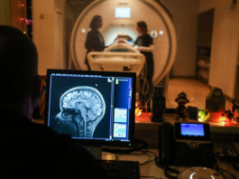 Изучение физики позволяет активизировать функции мозга