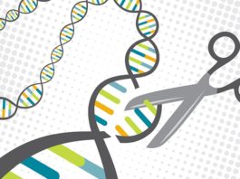 Ученые объединяют CRISPR и ДНК-шифрование для борьбы с раком