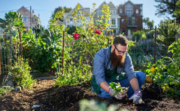 Как стать садоводом?