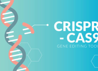 Технология CRISPR создает компьютеры внутри клеток