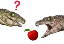 Ученых удивили предки-вегетарианцы современного крокодила