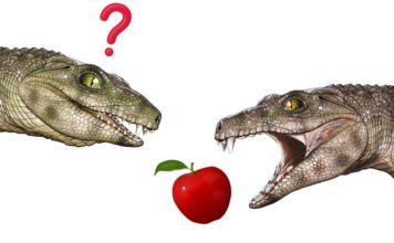 Ученых удивили предки-вегетарианцы современного крокодила