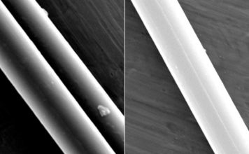 Паутина может послужить вдохновением для нового типа робототехники