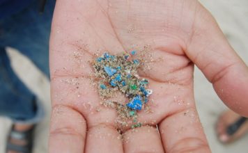 Во льдах Антарктического океана найден микропластик