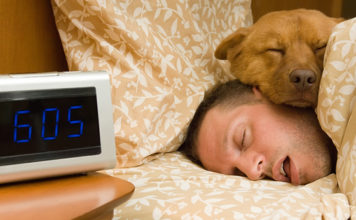 Избыточный сон может быть опаснее недостаточного