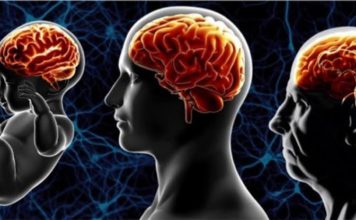 Замедлить старение мозга может быть легче, чем предполагалось