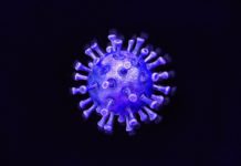 Австралия запустила приложение COVIDSafe, созданное для оповещения о контакте с заражёнными