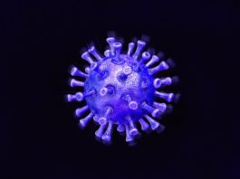 Австралия запустила приложение COVIDSafe, созданное для оповещения о контакте с заражёнными