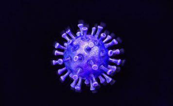 Австралия запустила приложение COVIDSafe, созданное для оповещения о контакте с заражёнными