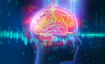 Пессимизм и нейронаука: обнаружены новые взаимосвязи