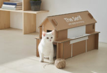 Samsung выпускает интересные аксессуары к линейке новых телевизоров