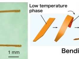 «Ходячие кристаллы» позволяют улучшить текущий формат роботов
