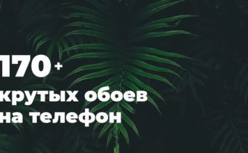 Какие обои на телефон подобрать?