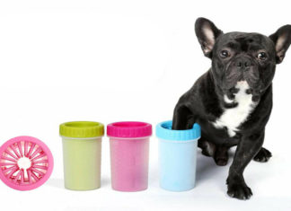 Лапомойки для собак — что выбирать?