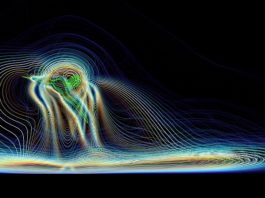 Навигация комаров может лечь в основу новых систем управления дронами