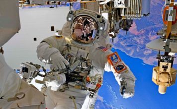 НАСА выпустила отчет относительно микроорганизмов астронавтов на МКС