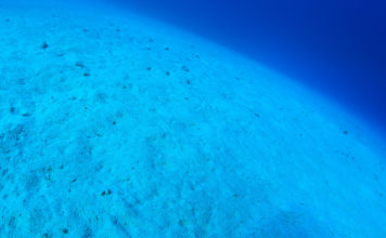 Микропластик на дне океана опаснее, чем на его поверхности