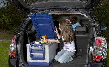 Почему вам стоит приобрести автохолодильник?