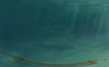 Палеонтологи раскрыли секрет рептилии Tanystropheus