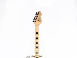 Bryan Guitars удивляет необычными гитарами с краской внутри