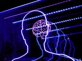 Лишний вес может быть опасной угрозой для когнитивного здоровья мозга