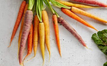 Ученые раскрыли особенности конвертации белого жира в коричневый