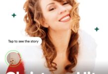 Spotify запустил Истории к плейлистам