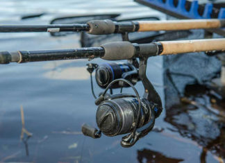 Как выбрать фидер?