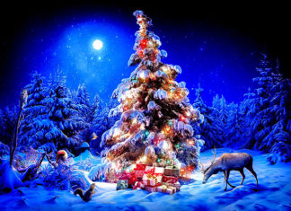 Чем заняться в Новый год?