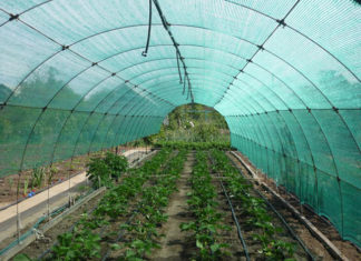 Что такое затеняющая сетка и для чего она нужна?