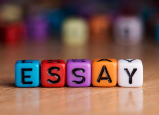 Главные отличия эссе от статьи