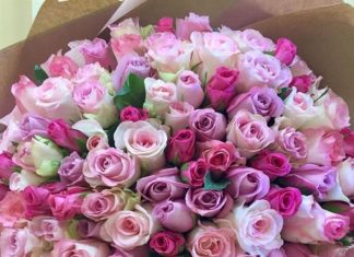 Доставка цветов в любую точку планеты!