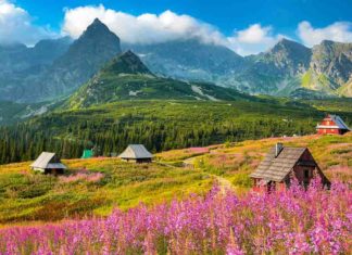 Качественный отдых в Карпатах всей семьей