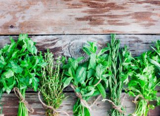 Польза зелени и зелёных овощей для всех